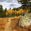 Fall colors erupt on the Lake Fork Trail.