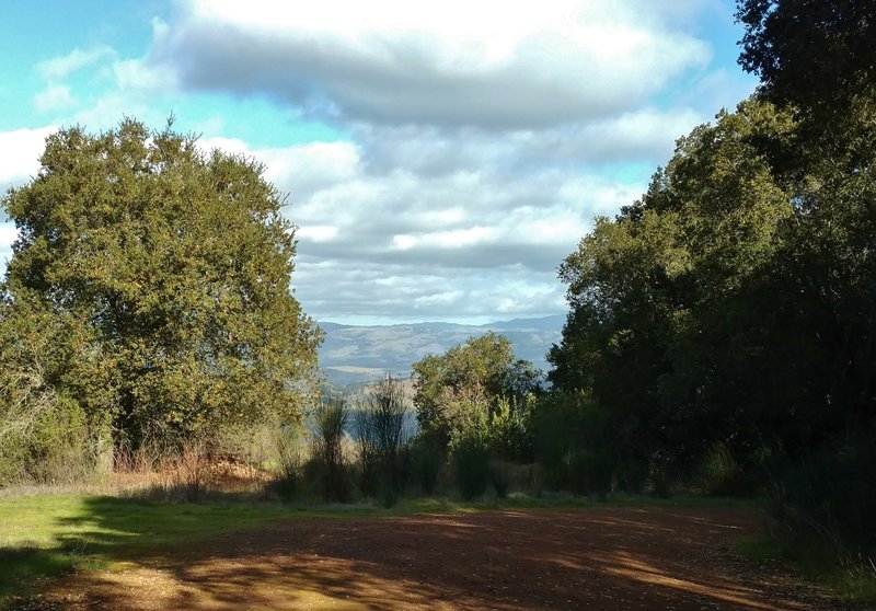 The Mine Hill Trail offers occasional glimpses of the San Francisco East Bay.