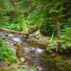 Lost Creek runs alongside the trail. Photo by John Sparks.