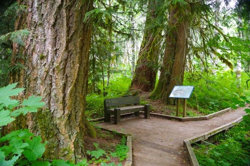 The Lost Creek Nature Trail has interpretive signs that explain the natural and geologic processes in the area. Photo by John Sparks.