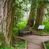 The Lost Creek Nature Trail has interpretive signs that explain the natural and geologic processes in the area. Photo by John Sparks.