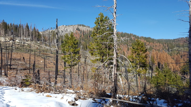 Only a few steps into the trail, the scenery is already beautiful.