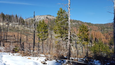 Only a few steps into the trail, the scenery is already beautiful.