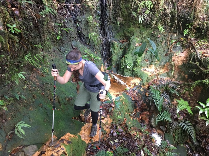 A washed-out section of the Tradewinds Trail makes it extra spicy.