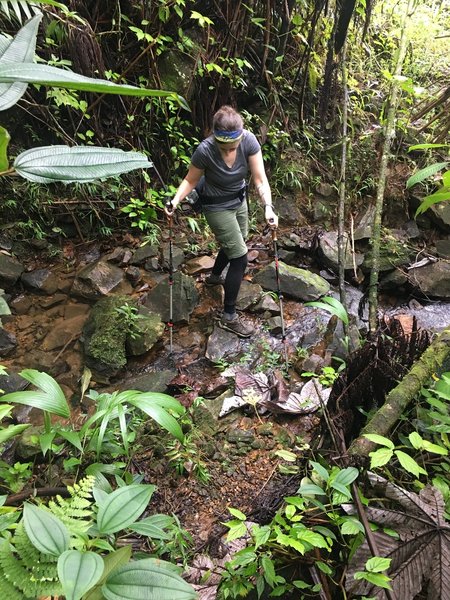 Stream crossings are doable on the Tradewinds Trail.