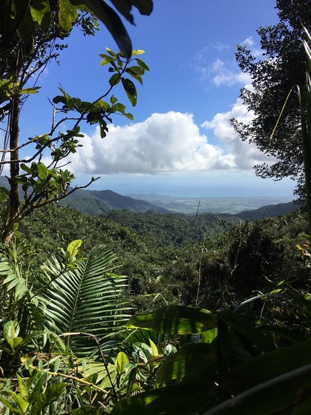 You're sure to encounter gorgeous views along the Tradewinds Trail.