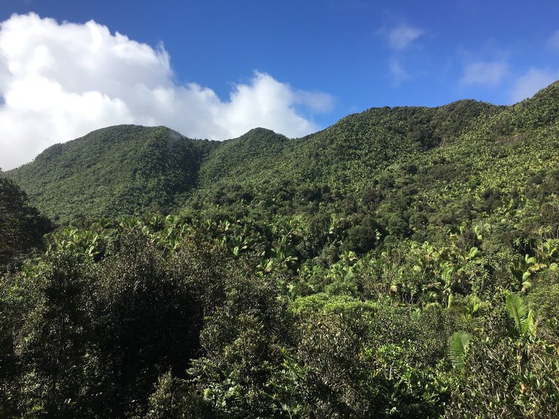 This is a view from the short, unshaded portion of the Tradewinds Trail.