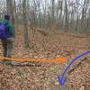 This is a location of confusion for falling off the loop trail. The more beaten trail makes a hard turn and ascends the ridge. This will make it back and offers many views from above. The loop trail stays below the bluff.