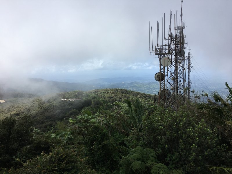 The view from atop El Yunque Peak can often be clouded. However, even in the clouds, the view is absolutely worth it.