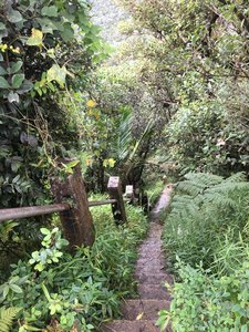 Steep stairs to the top of Los Picachos are one of the last challenges near the end of the trail.