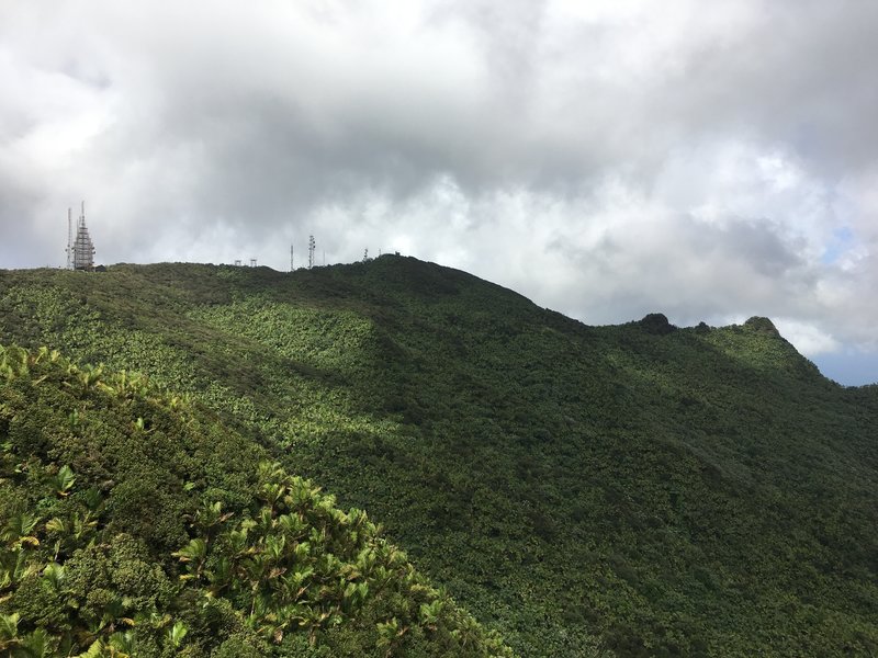 Great views of El Yunque Peak treat visitors at the end of Los Picachos Trail.