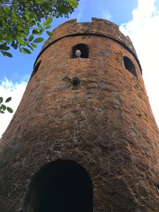 An old tower makes for a fun vantage point at the top of Mt. Britton.