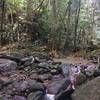 A stream comes just before a small bridge on the Angelito Trail.