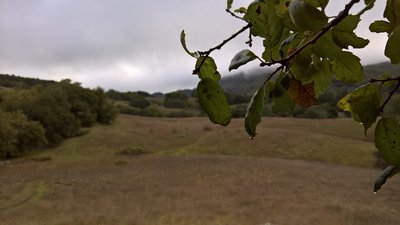 A breathtaking view of the hills awaits visitors to the Pony Gate Connector.