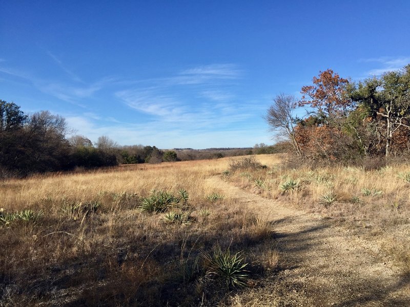 The Oak Motte Trail offers nice views.