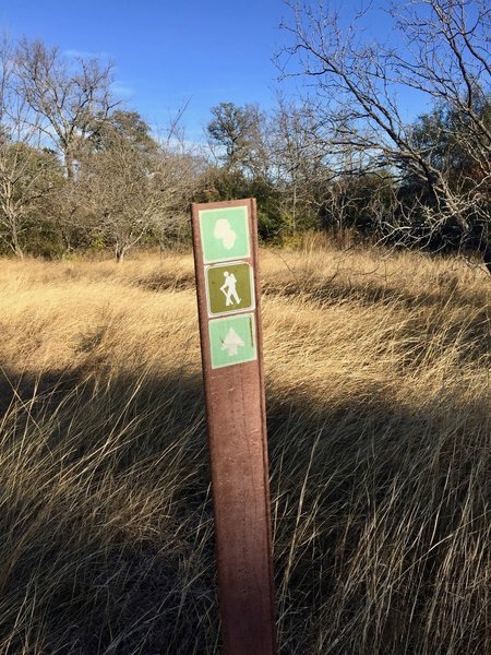 Follow the "acorns" for the Oak Motte Trail.