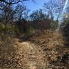 The Oak Motte Trail travels through peaceful forests and scenic meadows.