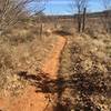 The trailhead for the Oak Motte Trail is well marked.