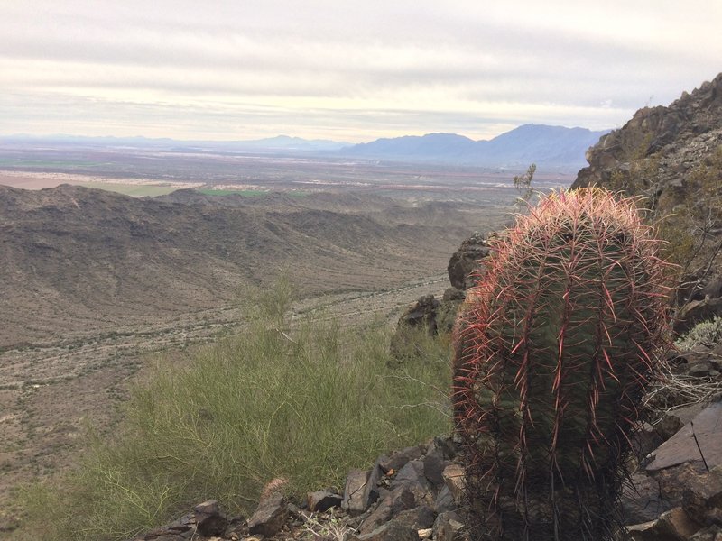 A southwest looking view  of the highest point on the Alta Trail.