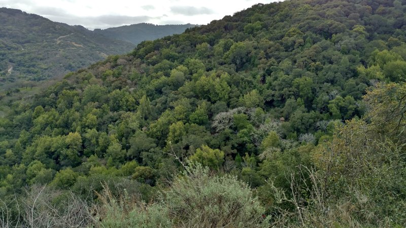 The rugged hills of southeastern Quicksilver Park are quite scenic from the English Camp Trail.