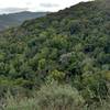 The rugged hills of southeastern Quicksilver Park are quite scenic from the English Camp Trail.