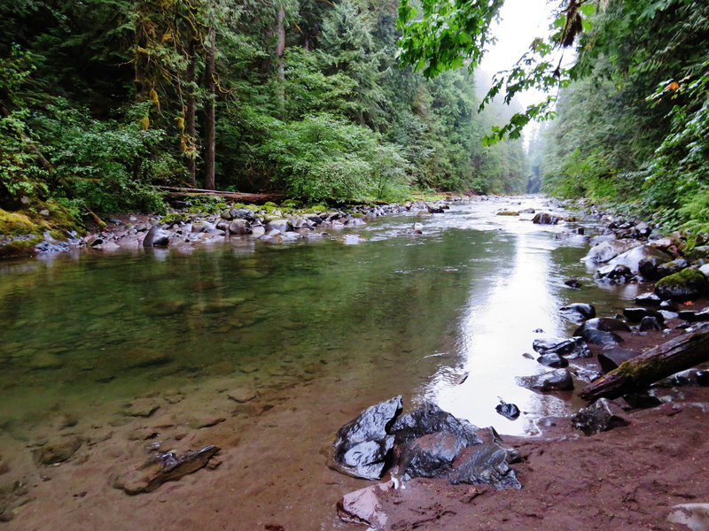 There are many user trails that lead down to the Salmon River's bank to cool off or enjoy a picnic. Photo by Yunkette.