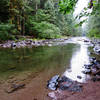 There are many user trails that lead down to the Salmon River's bank to cool off or enjoy a picnic. Photo by Yunkette.