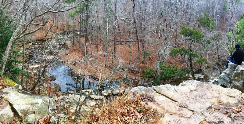 The Rhodo Spur Viewpoint offers a great look at the forested creek below.