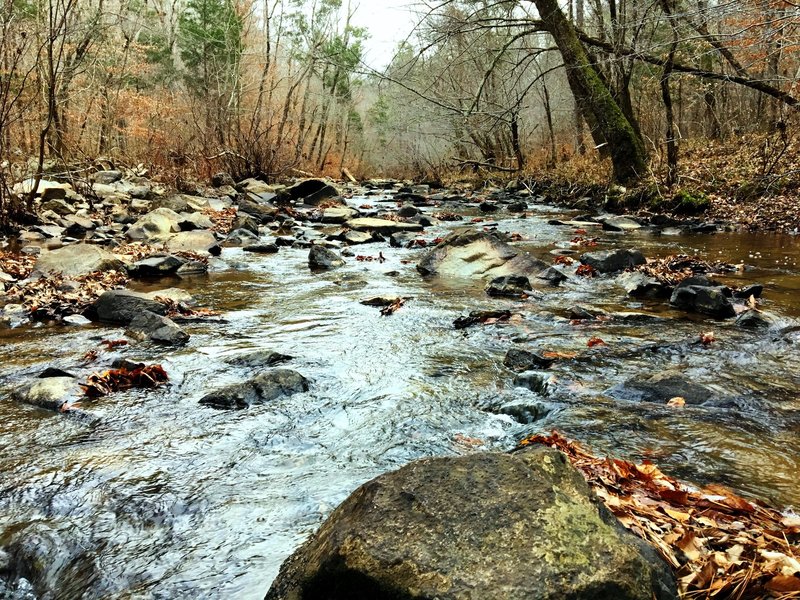 New Hope Creek gurgles with abundant flowing water during the wintertime.