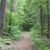 Fill out a wilderness permit. Paradise Park Trail is a long slog with few vistas until you reach the PCT and then it's wowza!