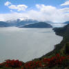 Glaciar Grey ends into Lago Grey in Parque Nacional Torres del Paine.