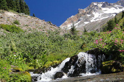 The Paradise Park Loop Trail crosses rushing water on the flanks of Mt. Hood. Photo by Guy Meacham.