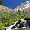 The Paradise Park Loop Trail crosses rushing water on the flanks of Mt. Hood. Photo by Guy Meacham.