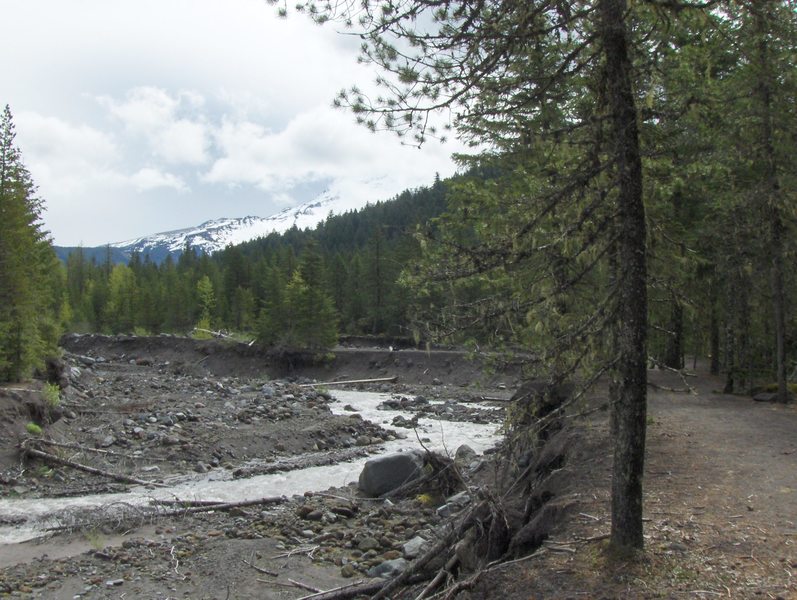 The notoriously unstable Sandy River flows through old mudflows from a Mt. Hood eruption in the late 1780s. The river can move a quarter mile in a large flood event, eating away parts of the Sandy River bank over time.