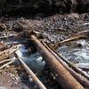 Visitors must use caution when crossing the Sandy River. If you choose to cross on down logs, ensure they are stable, and be careful of loose bark.