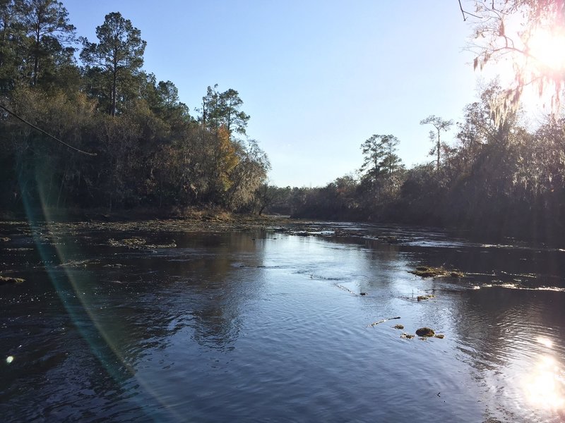 The Suwannee River gleams in the afternoon sun.