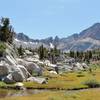 One of the many alpine meadows along McGee Pass Trail.