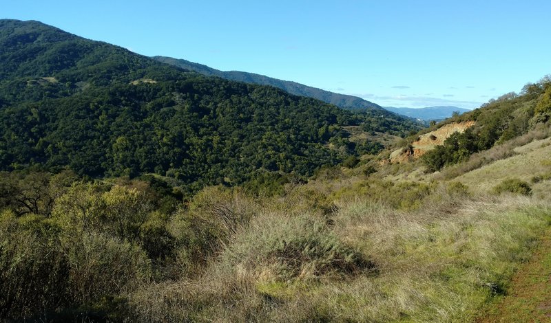 The Santa Cruz Mountains are on the right when looking northwest on the Providencia Trail.