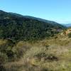 The Santa Cruz Mountains are on the right when looking northwest on the Providencia Trail.