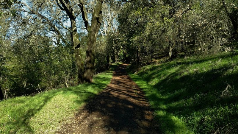 The Randol Trail meanders through wooded and open grass areas.