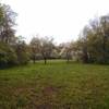 Early spring fields begin to pop into blossom in Hope Goddard Iselin Preserve.