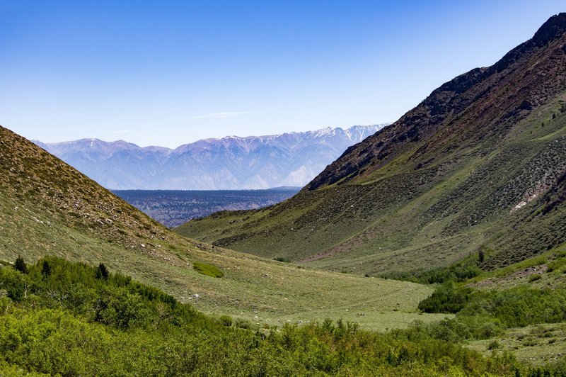 McGee Canyon looks utterly spectacular from the McGee Pass Trail.