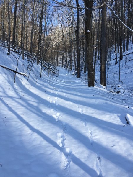 Wintertime snow smooths the trail near the rock cut and the sustained ascent.