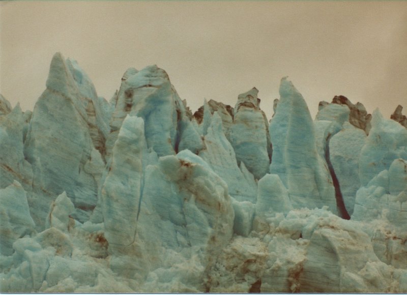 Marjerie Glacier is striking from up close. This was taken from as close as the boat dared to go - nobody wanted a calving iceberg to land on the boat.