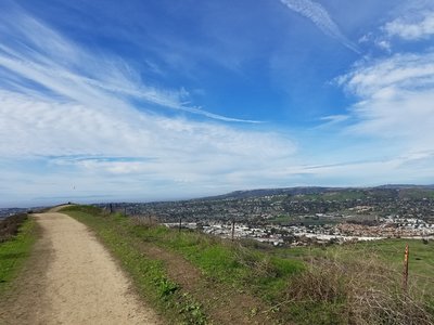 A distant flag ushers in dramatic views of the coastline and Catalina Island along the Patriot Hill Trail.