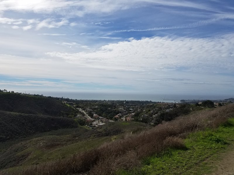 Expect ocean views looking out at Dana Point Harbor when walking on Patriot Hill.