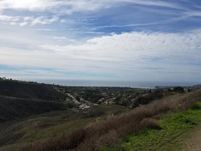 Expect ocean views looking out at Dana Point Harbor when walking on Patriot Hill.