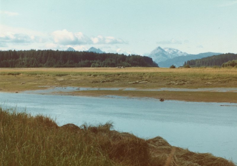 The tidal flats on the Bartlett River make a beautiful foreground to the Fairweather Range.