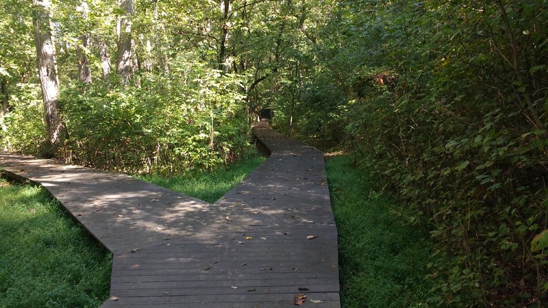 The loop portion is elevated. It is located on a wooded floodplain full of seasonal pools.