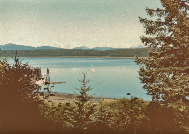 Bartlett Cove shimmers brightly in the sun with the Fairweather Range in the distance.